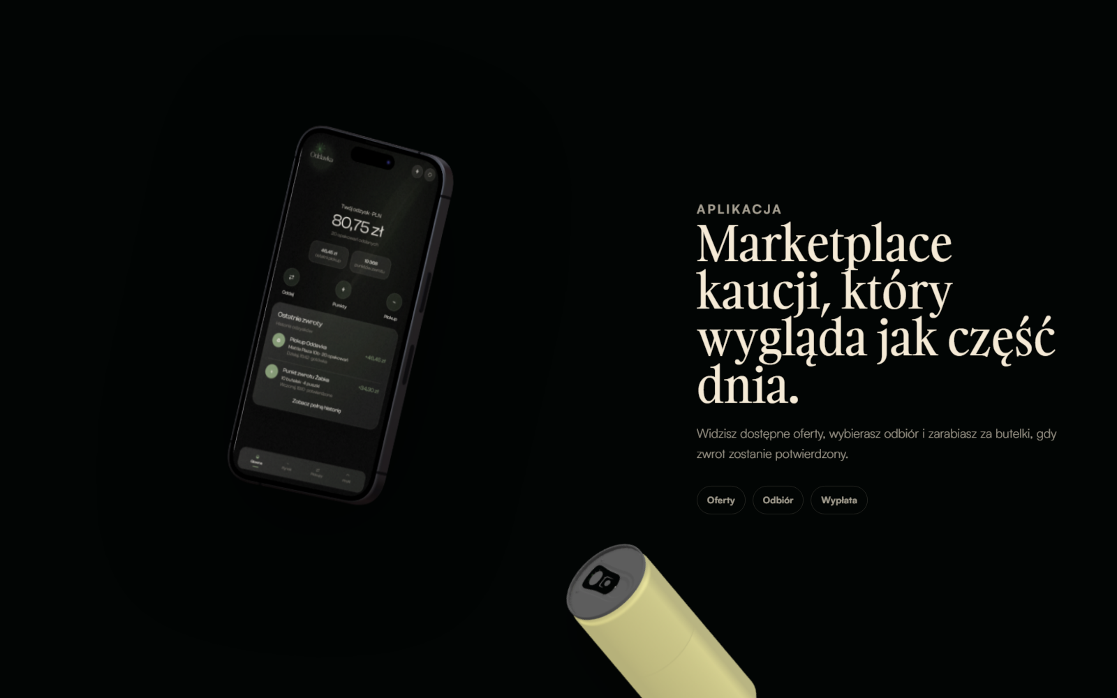Project screenshot 2